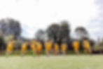 background-boys-celebrating-PKs.jpg