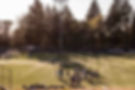 background-bellevue-establishing-shot-field.jpg