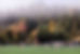 background-preston.jpg