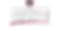 Promise-EmergingTalents-Logo.png
