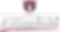 Promise-Logo.png