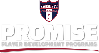 Promise-Logo.png